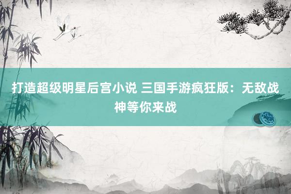 打造超级明星后宫小说 三国手游疯狂版：无敌战神等你来战
