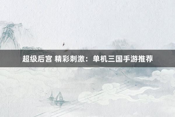 超级后宫 精彩刺激：单机三国手游推荐